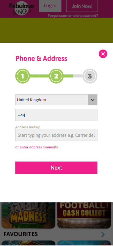 Fabulous Bingo Registration Process Image 2